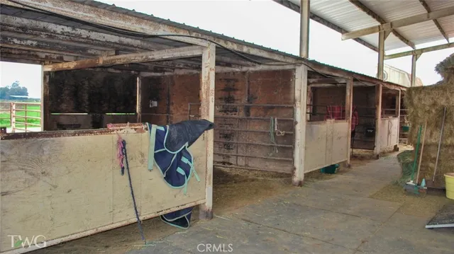 a view of outdoor space and barbecue grill