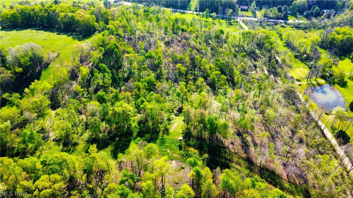 Patton Road Jewett, OH 43986 - Photo 2 of 42