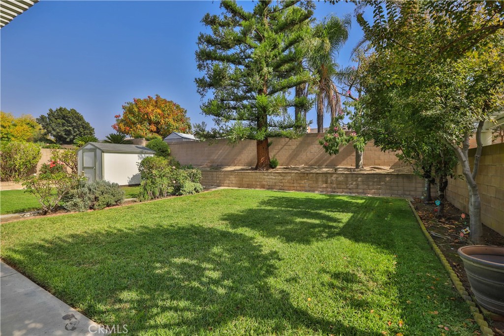 7241 Marine Avenue Rancho Cucamonga, CA 91701 - Photo 35 of 48 a view of a garden with a tree