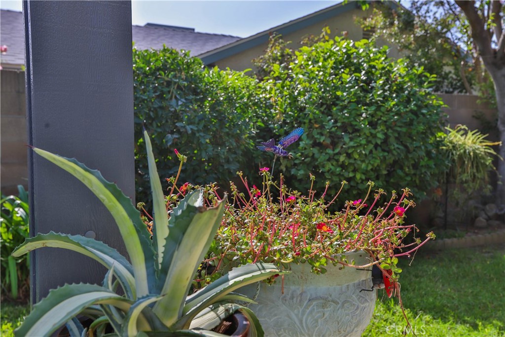7241 Marine Avenue Rancho Cucamonga, CA 91701 - Photo 43 of 48 a view of a flower in a garden