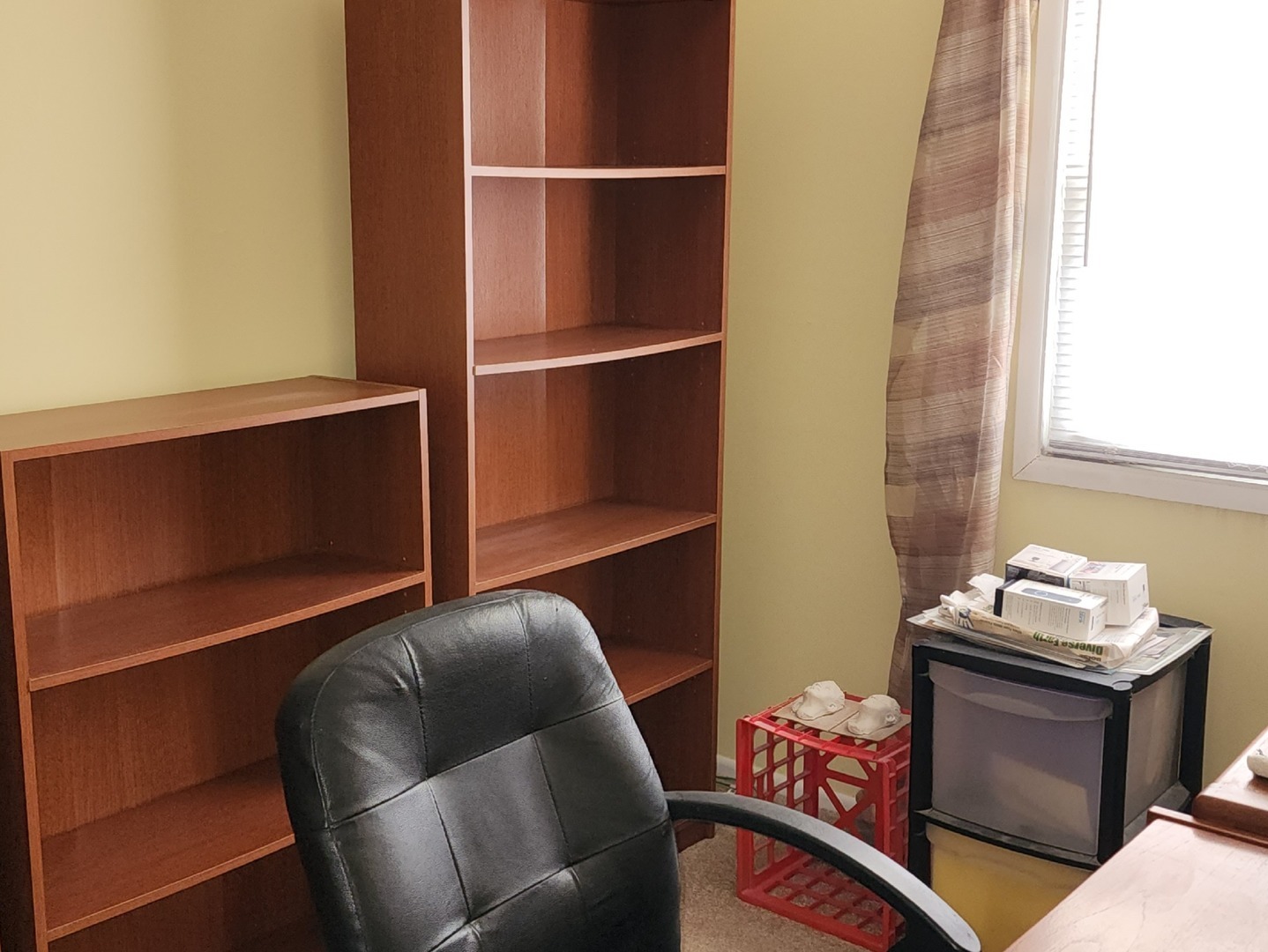 531 Redwood Road Bolingbrook, IL 60440 - Photo 12 of 21