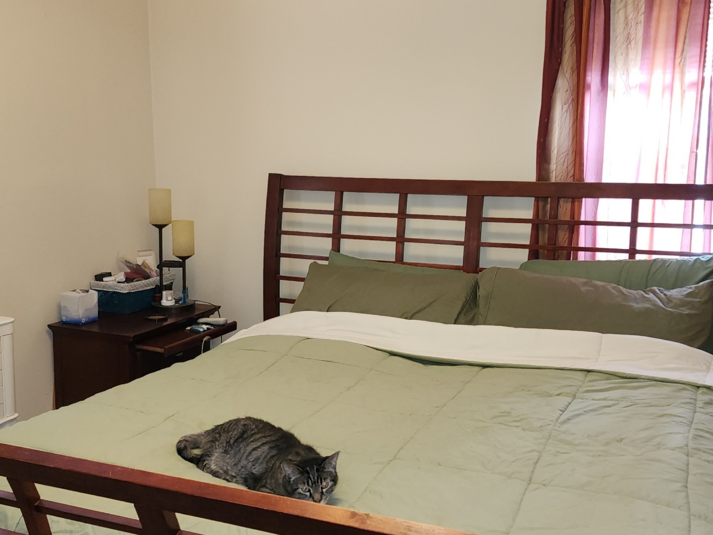 531 Redwood Road Bolingbrook, IL 60440 - Photo 7 of 21