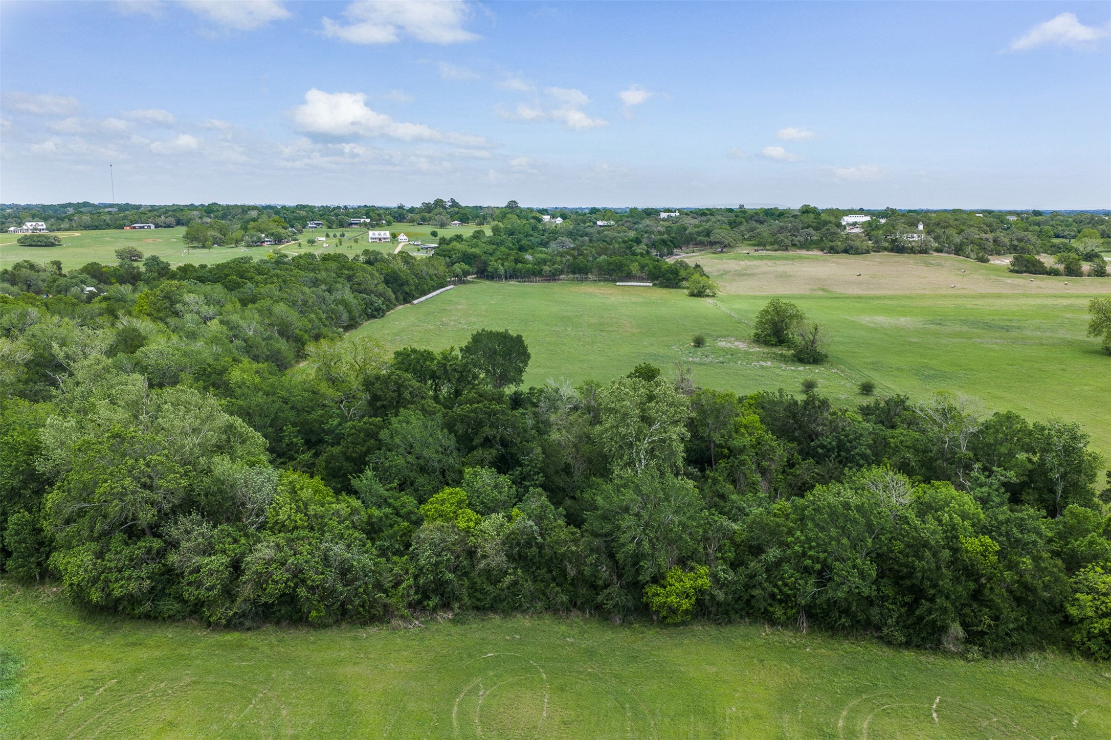 Tbd Bauer Rummel Road Round Top, TX 78954 - Photo 22 of 30