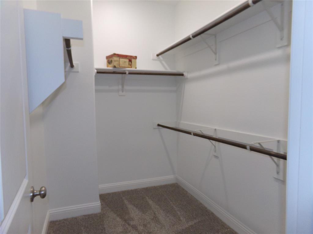 1748 Redding Street Allen, TX 75002 - Photo 13 of 33 Primary bedroom Walk in closet with light carpet