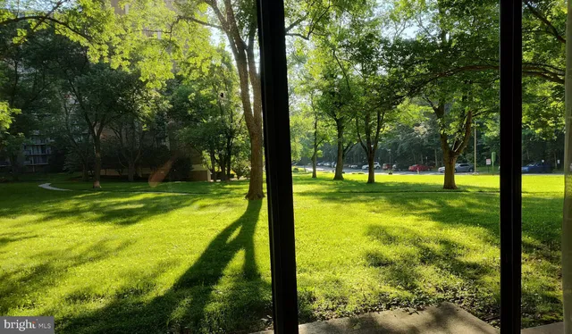 a view of swimming pool from a yard