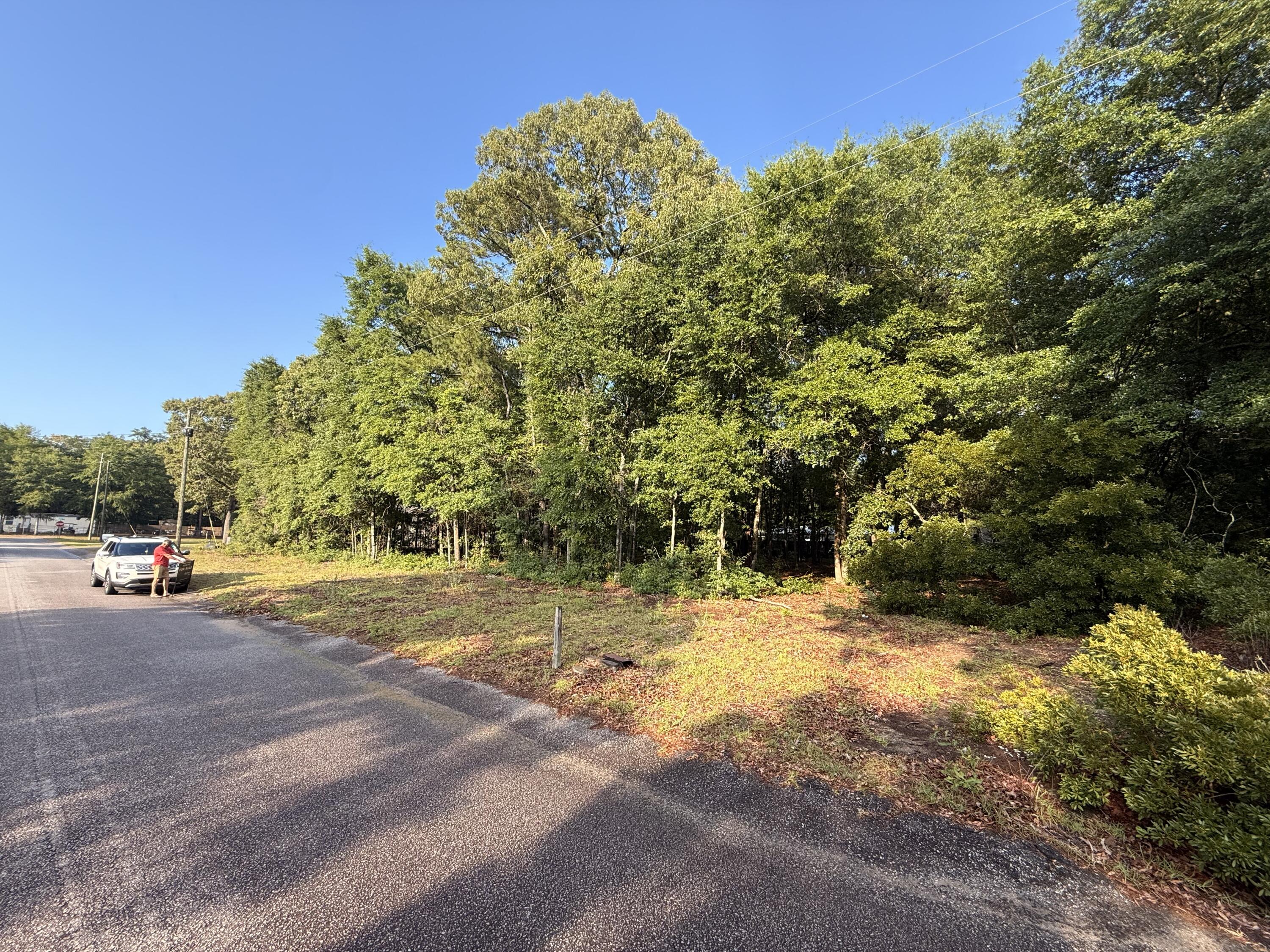 100 Triangle Drive Summerton, SC 29148 - Photo 5 of 5 IMG_3410