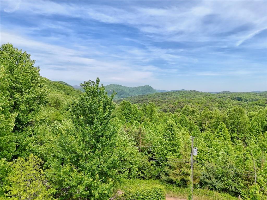 306 Frontier Road Tiger, GA 30576 - Photo 47 of 64
