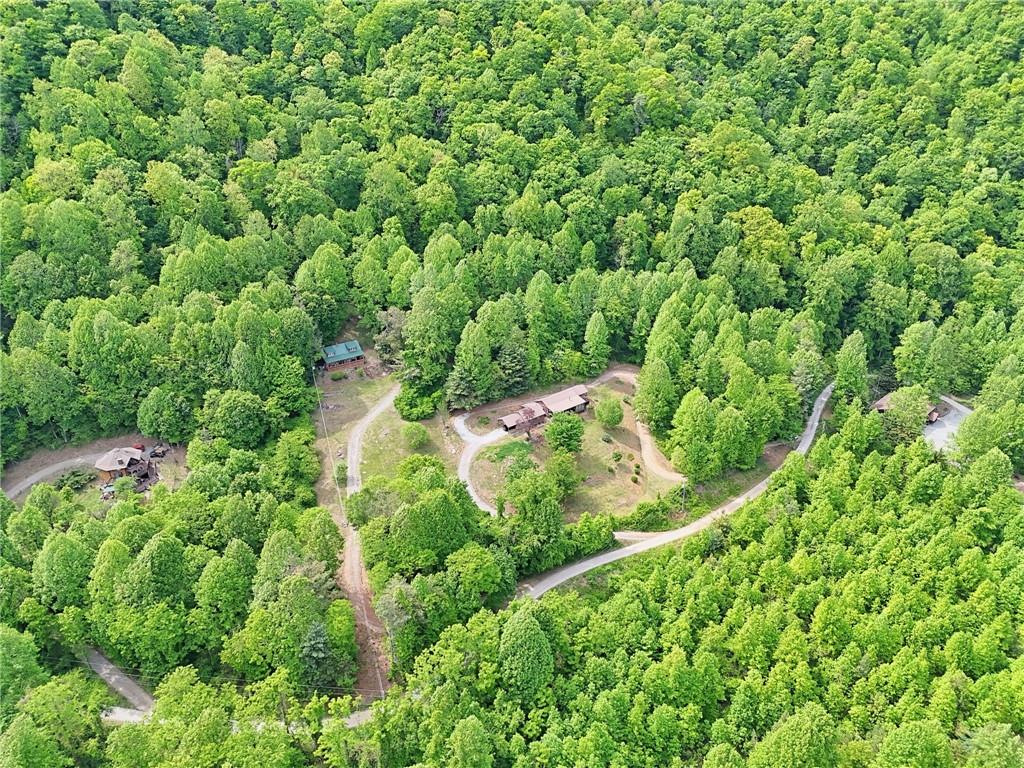 306 Frontier Road Tiger, GA 30576 - Photo 50 of 64