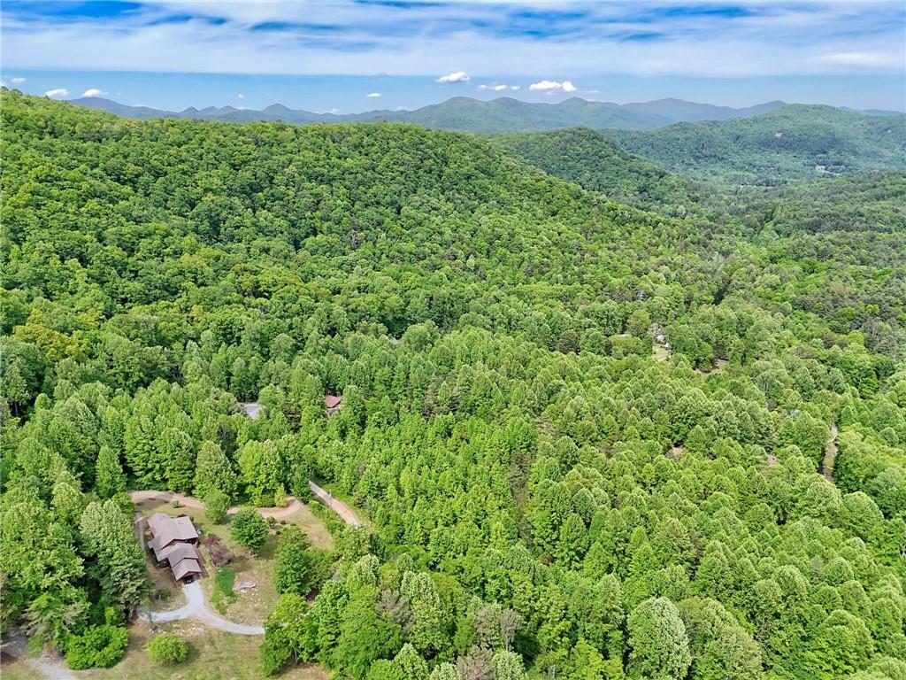 306 Frontier Road Tiger, GA 30576 - Photo 51 of 64