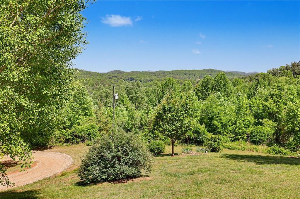 306 Frontier Road Tiger, GA 30576 - Photo 6 of 64