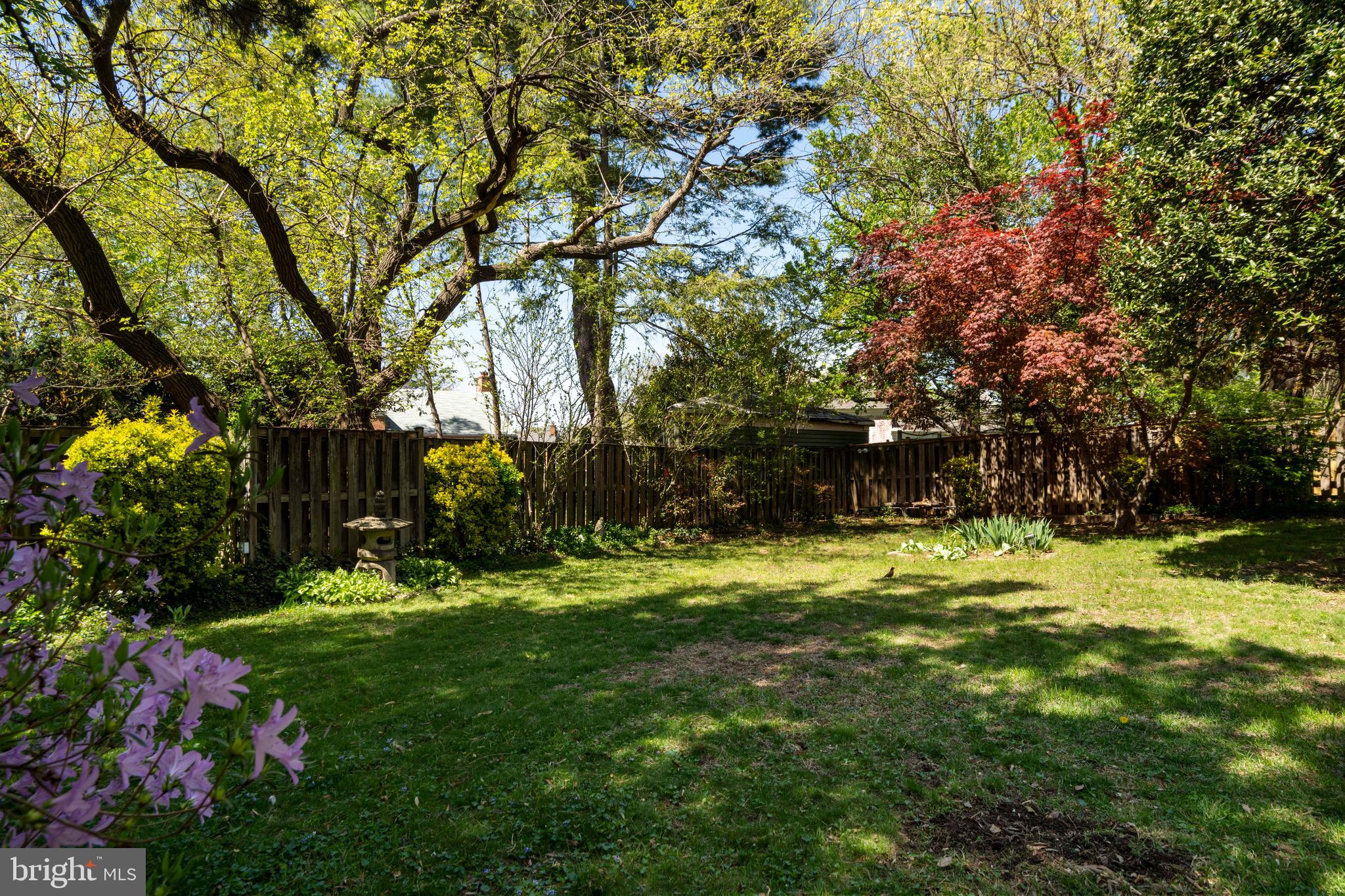 6110 Dorchester Street Springfield, VA 22150 - Photo 32 of 38 a backyard of a house with lots of green space and garden