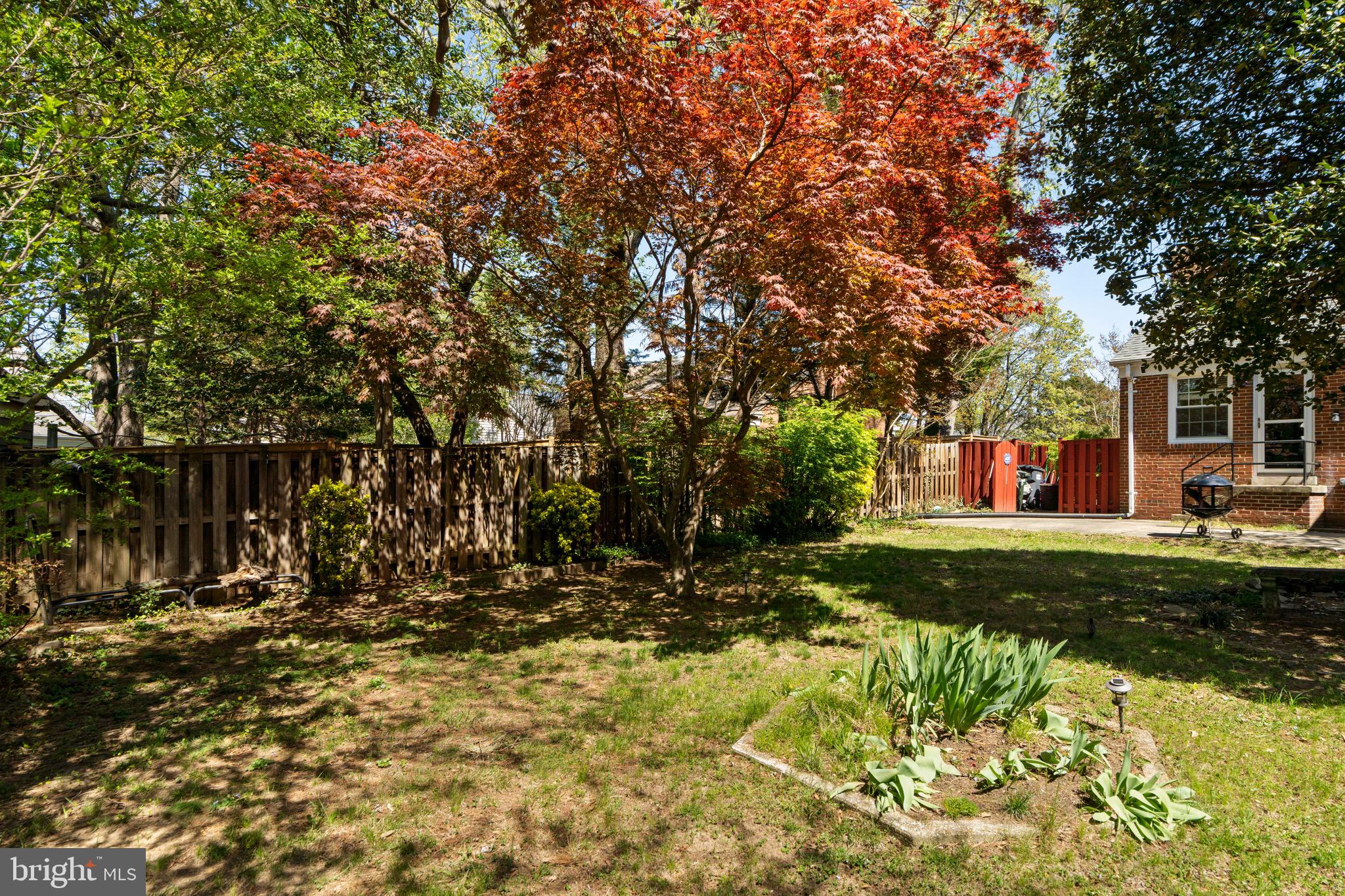 6110 Dorchester Street Springfield, VA 22150 - Photo 34 of 38 a view of a yard with plants and trees