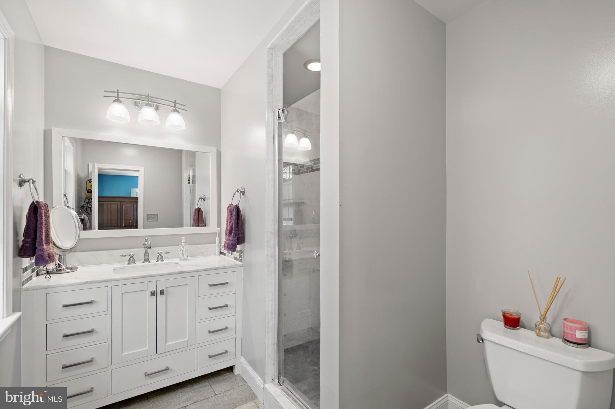 6110 Dorchester Street Springfield, VA 22150 - Photo 7 of 38 a bathroom with a double vanity sink mirror and toilet