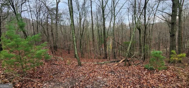 $39,900 | 9 Wilderness Creek Way, Murphy, NC 28906