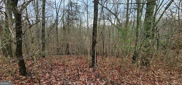 $39,900 | 9 Wilderness Creek Way, Murphy, NC 28906