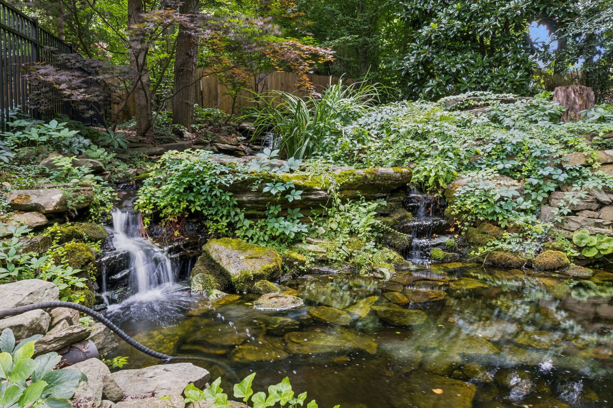 3507 Wimbledon Road Nashville, TN 37215 - Photo 37 of 50 a plant that is in a garden