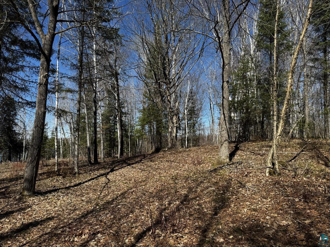 417 Barrell Road Ely, MN 55731 - Photo 12 of 16