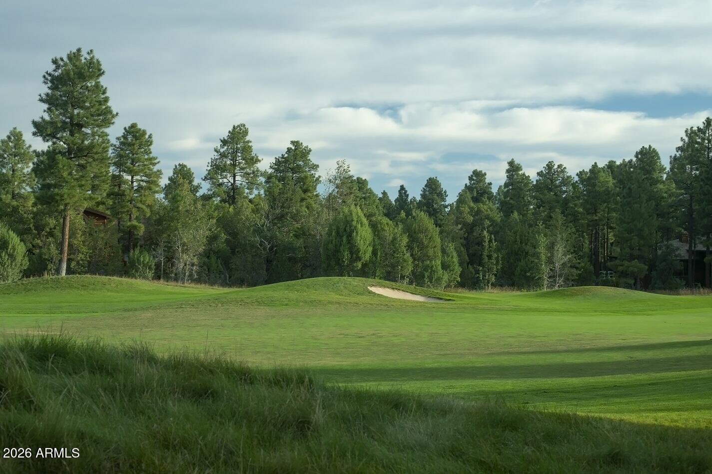 1380 Lakeside Trail Show Low, AZ 85901 - Photo 43 of 48 a view of a grassy field with trees in the background