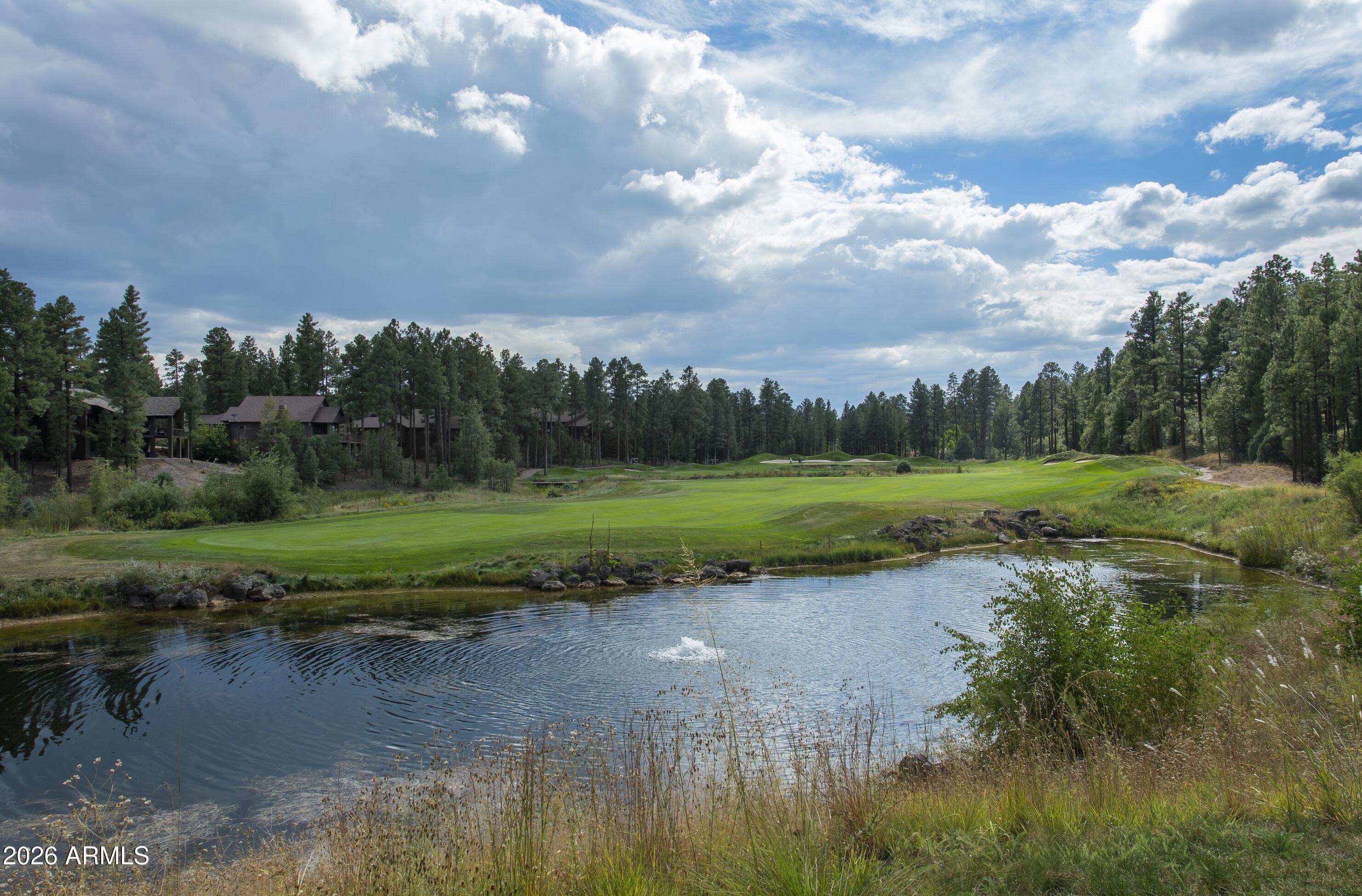 1380 Lakeside Trail Show Low, AZ 85901 - Photo 48 of 48 a view of a lake with green space