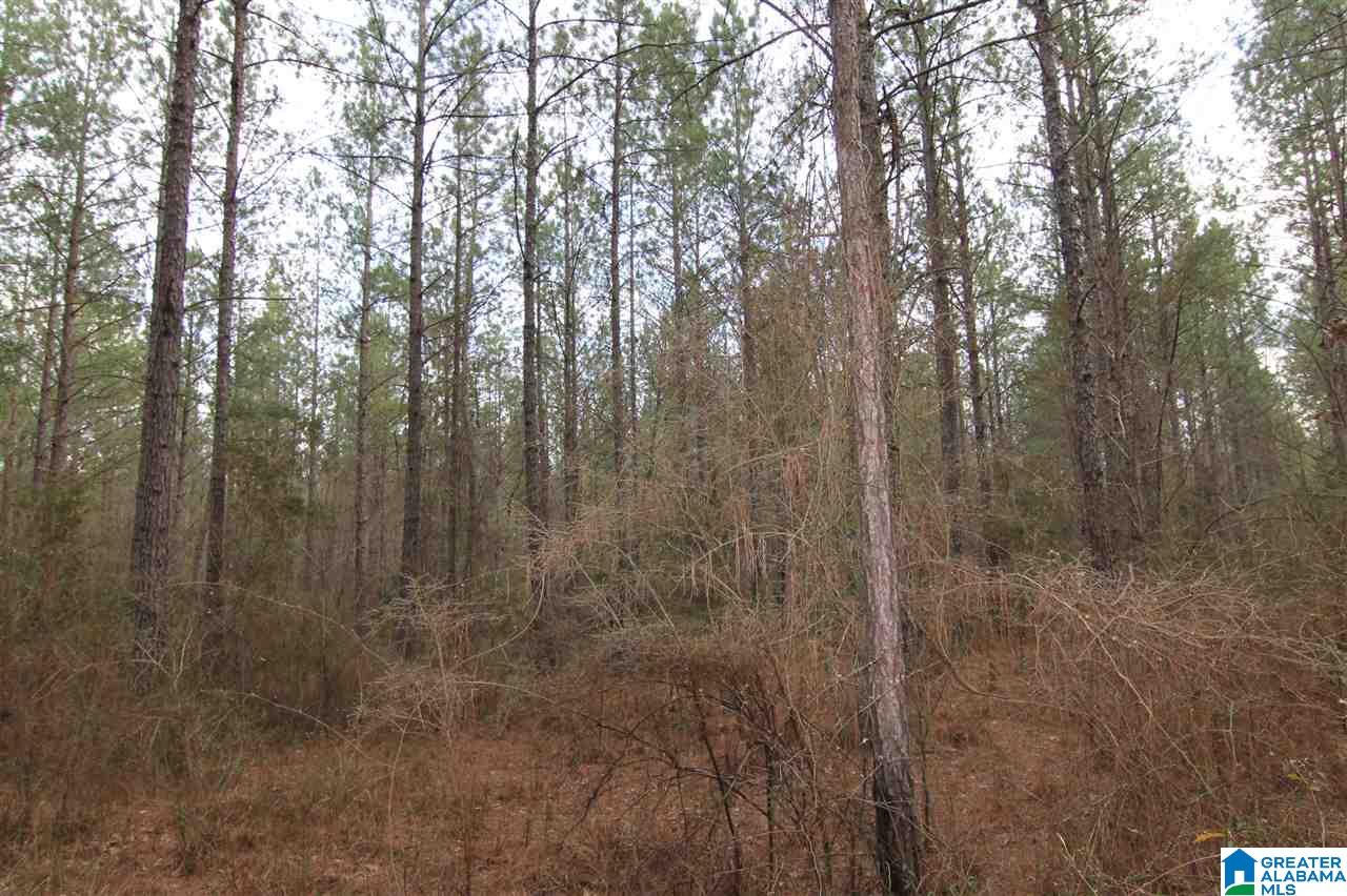 500 Lil Beaver Road, Unit 260 AC Daviston, AL 36256 - Photo 8 of 20