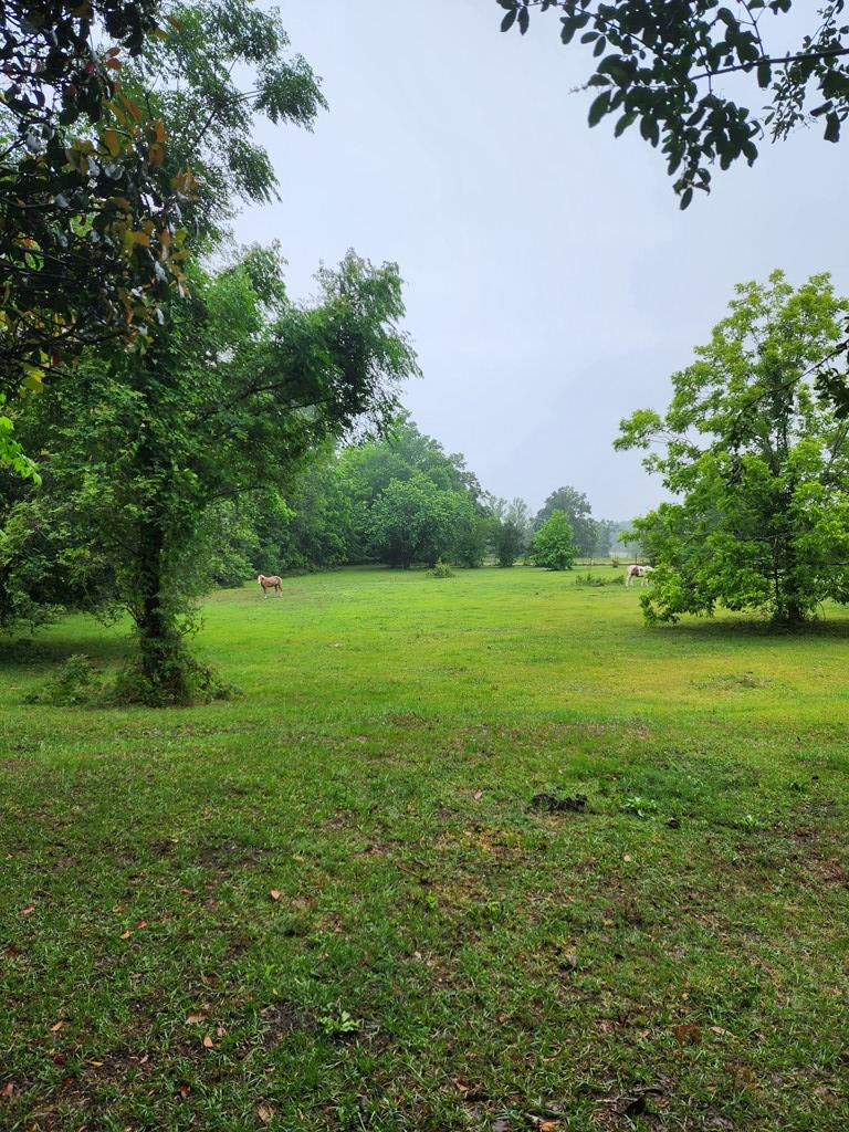 7375 Delgar Road Rembert, SC 29128 - Photo 8 of 15