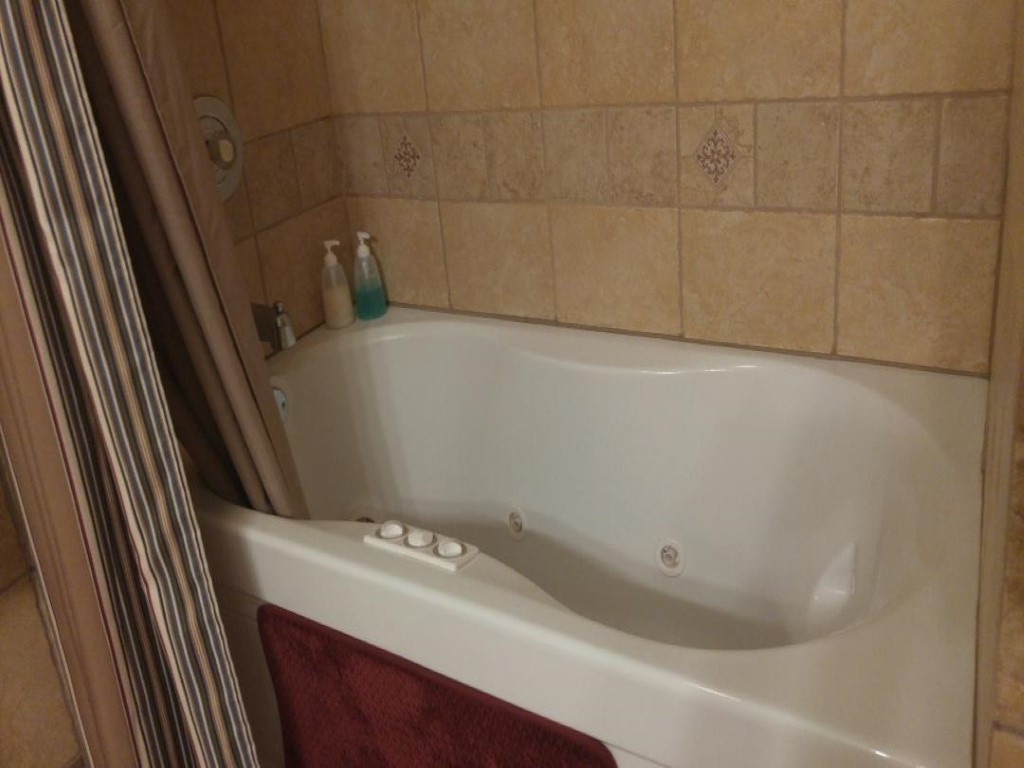 619 Garrison Hollow Road Elizabethton, TN 37643 - Photo 16 of 33 Main Bath Spa Tub