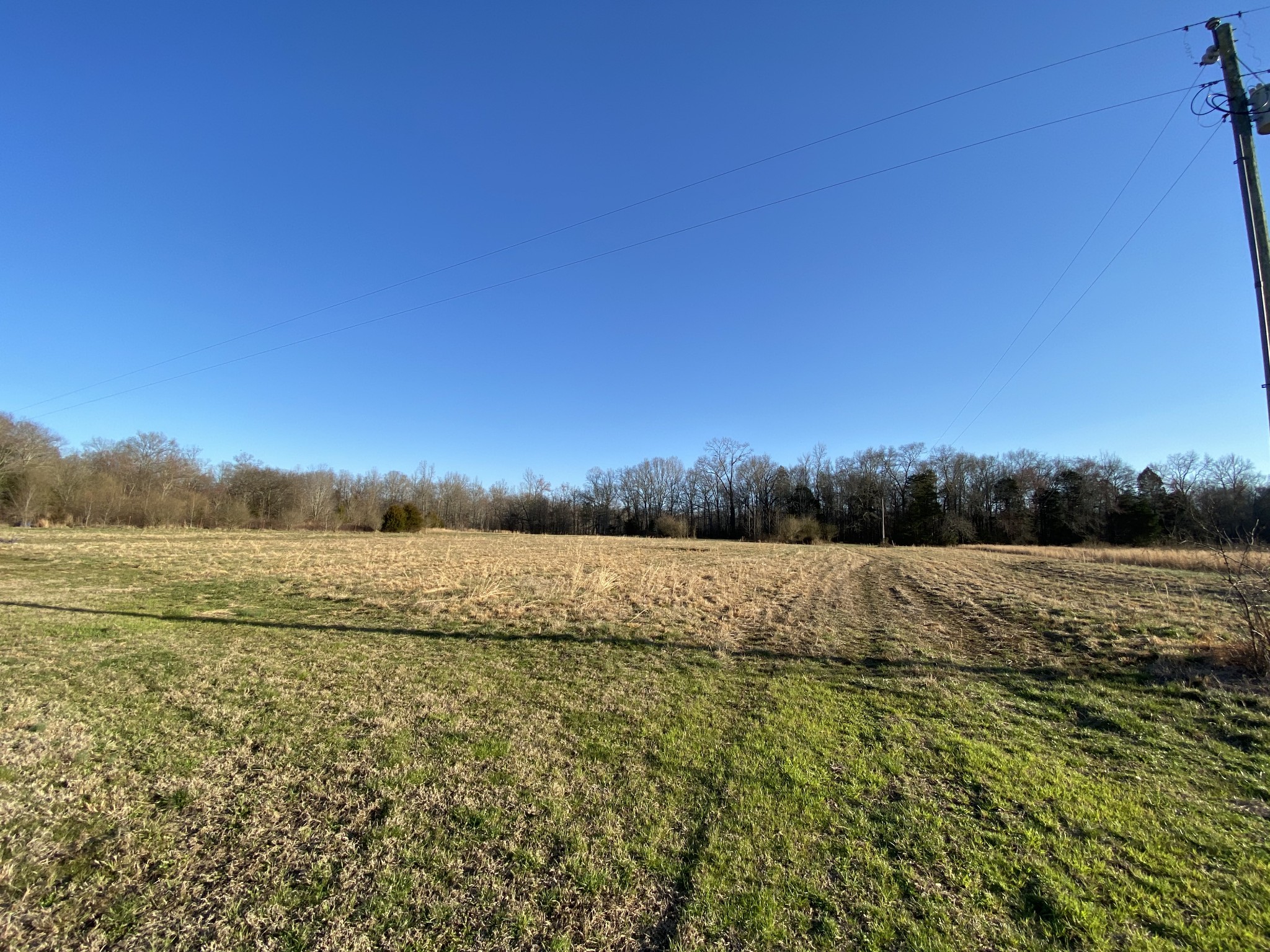 4859 Mingo Road Belvidere, TN 37306 - Photo 5 of 21 Gallery Image 5