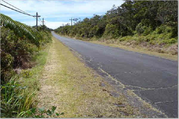 1457 Volcano Road Pahoa, HI 96778 - Photo 4 of 4 Gallery Image 4