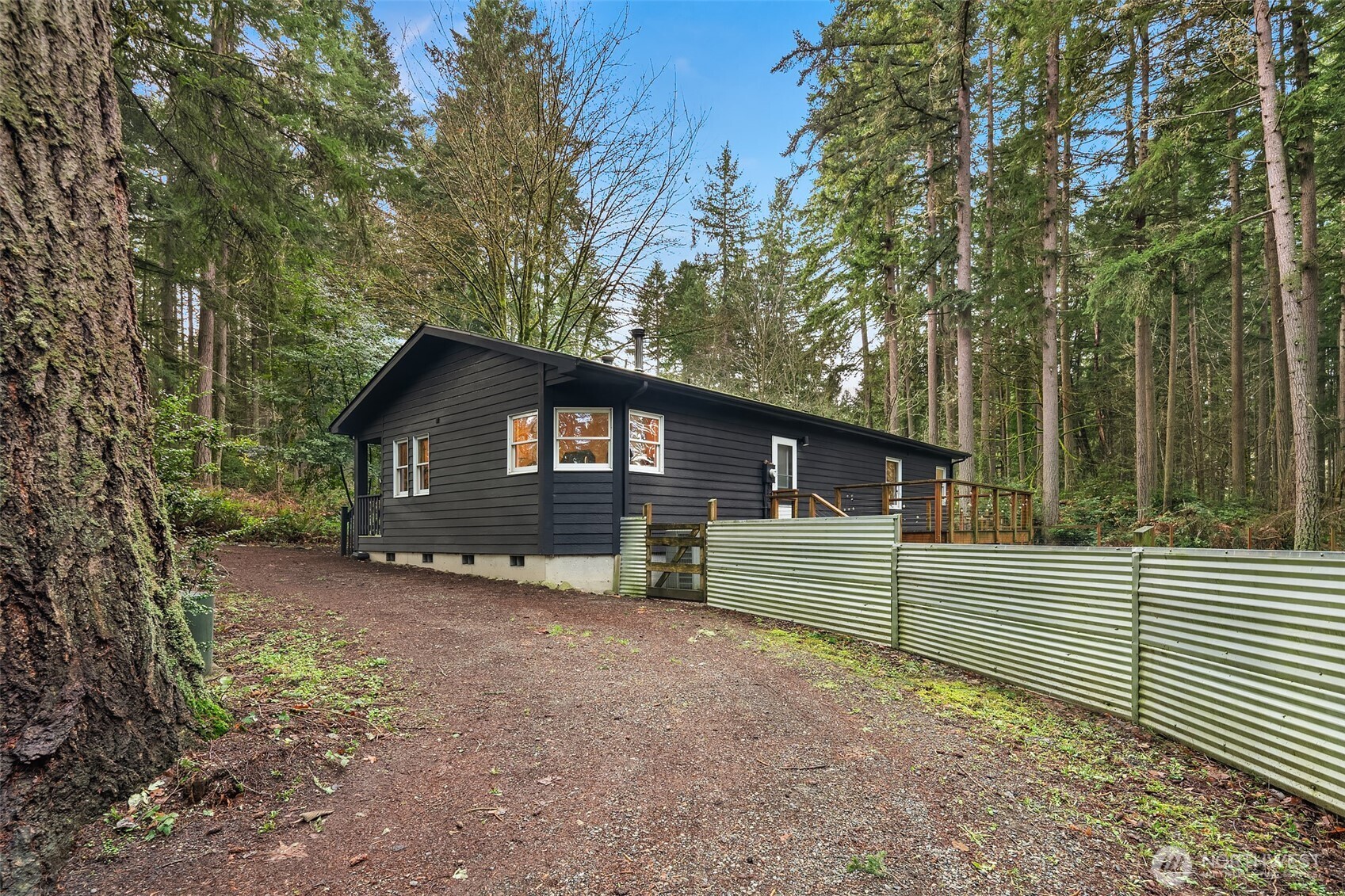 12908 Southwest 244th Place Vashon, WA 98070 - Photo 27 of 30 a view of backyard with wooden fence and large trees