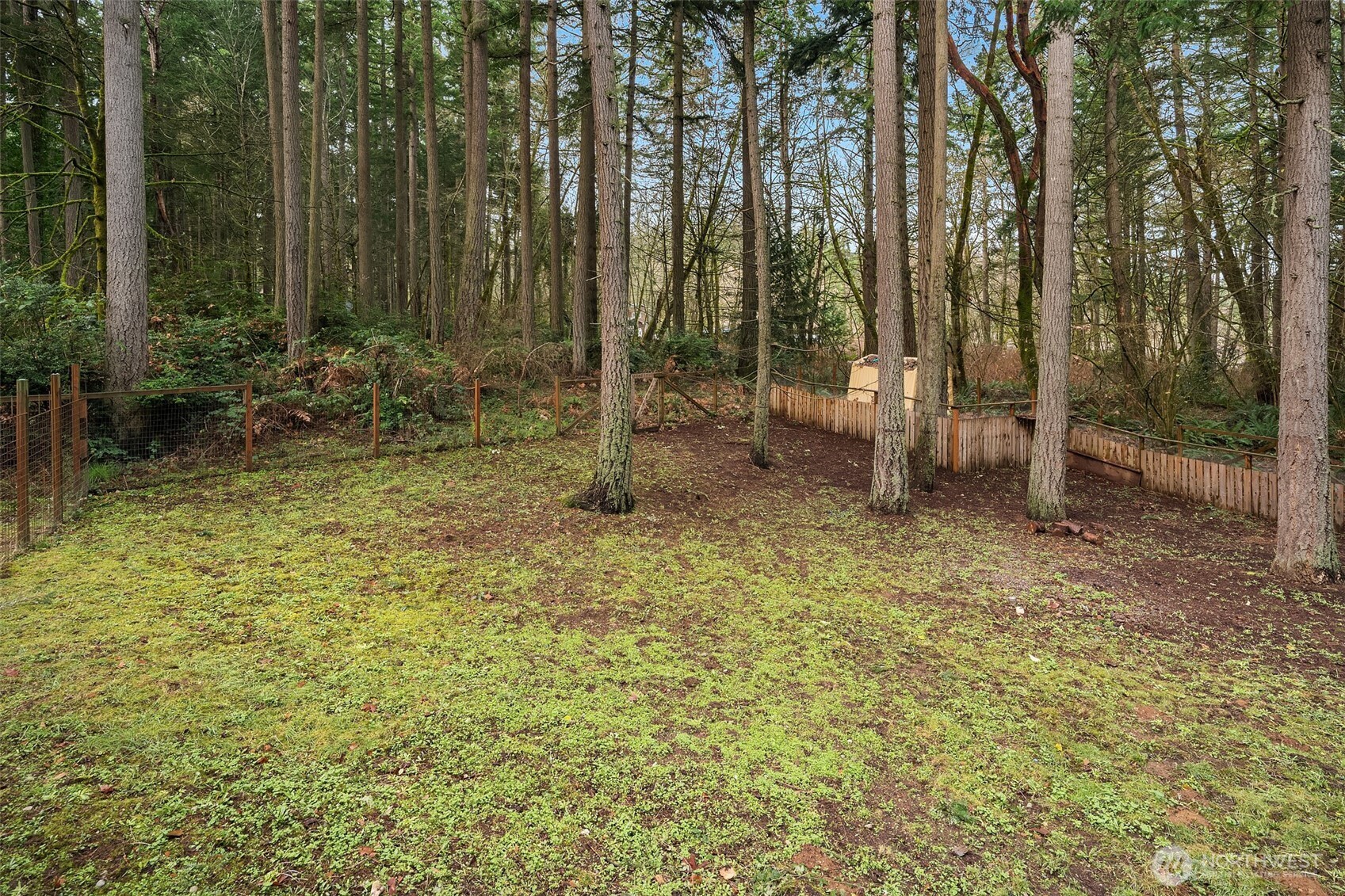 12908 Southwest 244th Place Vashon, WA 98070 - Photo 28 of 30 a view of backyard with green space