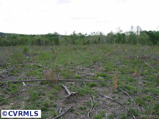 Parcel #1 Winningham Road Crewe, VA 23930 - Photo 6 of 6 a view of a field of grass and trees