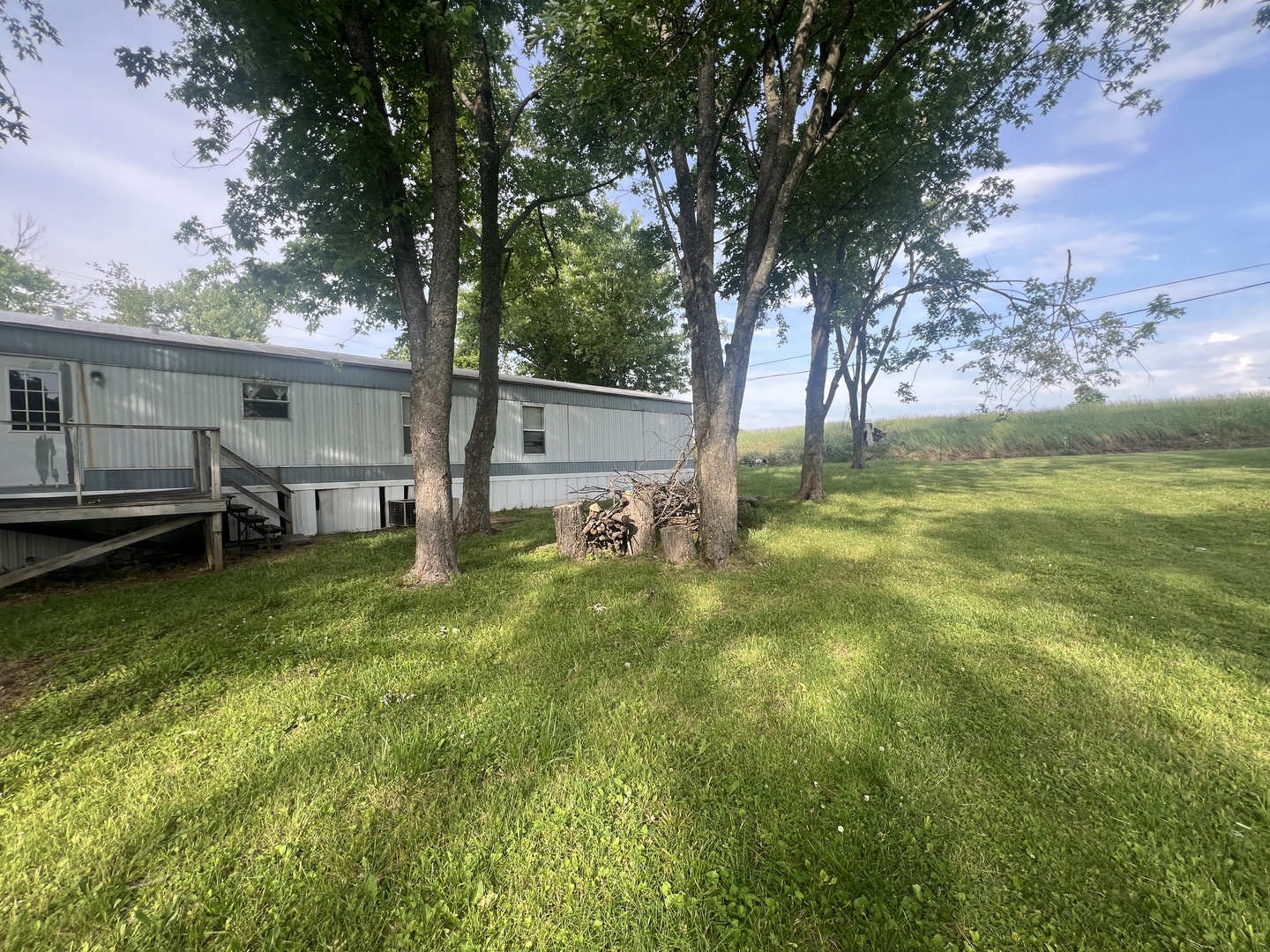 112 North Old Marion Road Goreville, IL 62939 - Photo 6 of 23