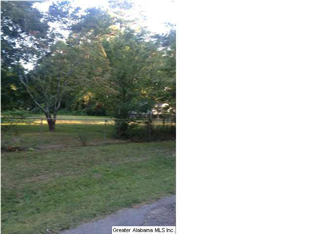 Stuart Drive Odenville, AL 35120 - Photo 2 of 3