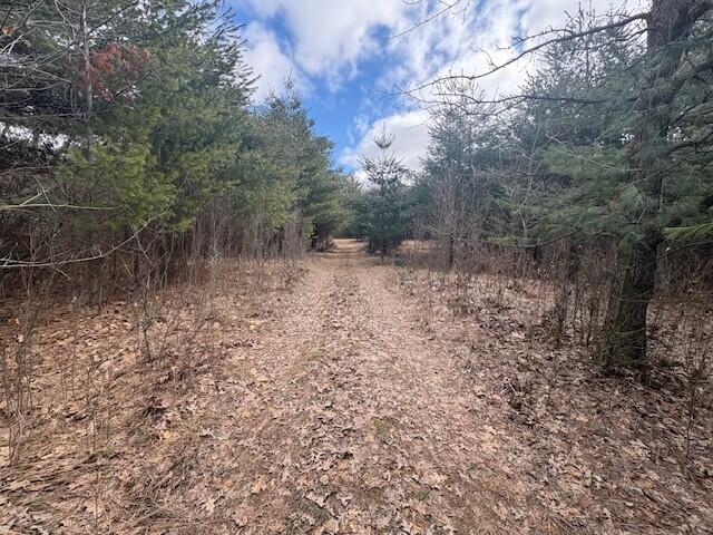 4 4 Mile Road Evart, MI 49631 - Photo 23 of 30
