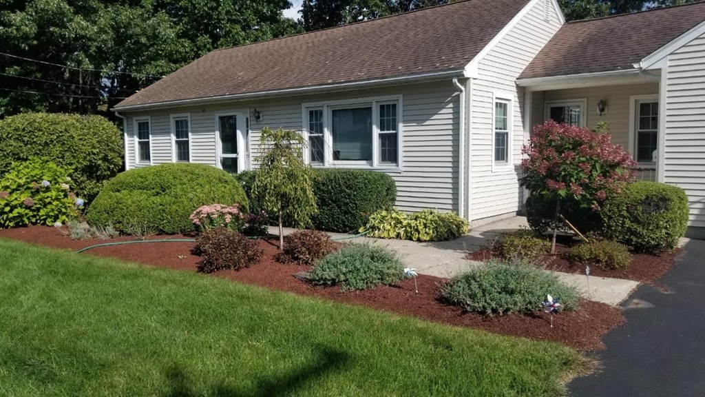 a front view of a house with a yard and plants
