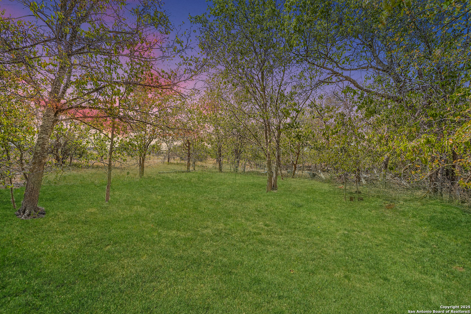 350 Williamson Road Kyle, TX 78640 - Photo 11 of 21
