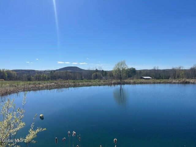 465 Snyder Road Cobleskill, NY 12043 - Photo 2 of 19 aa
