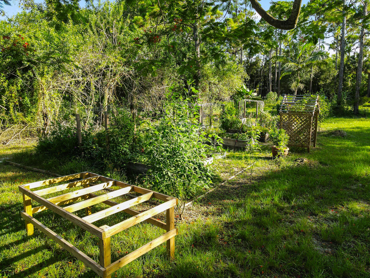 12792 Old Indiantown Road Jupiter, FL 33478 - Photo 33 of 60 RAISED BEDS