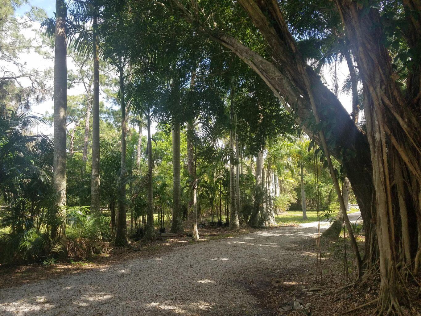 12792 Old Indiantown Road Jupiter, FL 33478 - Photo 36 of 60 Driveway