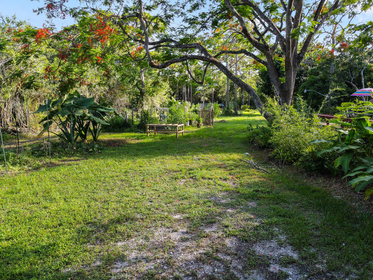 12792 Old Indiantown Road Jupiter, FL 33478 - Photo 44 of 60 FLORIDA POINCIANA