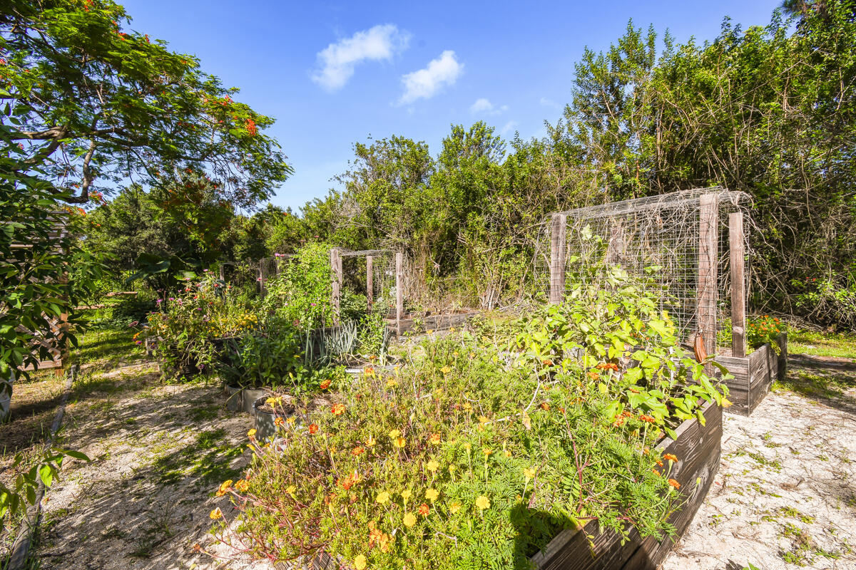 12792 Old Indiantown Road Jupiter, FL 33478 - Photo 48 of 60 BUTTERFIY GARDEN