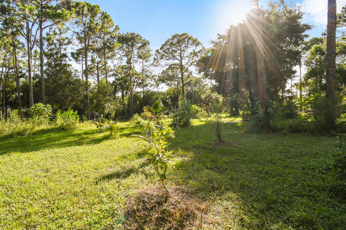 12792 Old Indiantown Road Jupiter, FL 33478 - Photo 49 of 60 FRUIT TREES