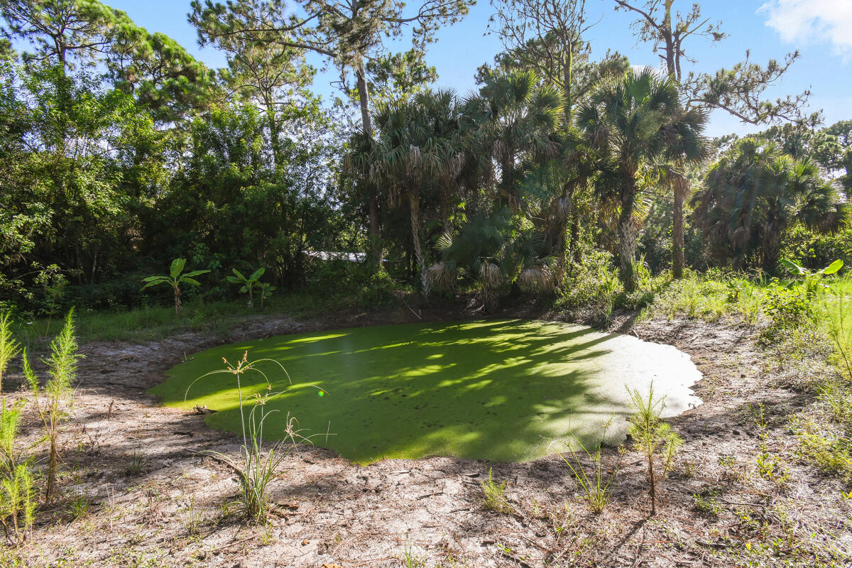 12792 Old Indiantown Road Jupiter, FL 33478 - Photo 50 of 60 SMALL POND