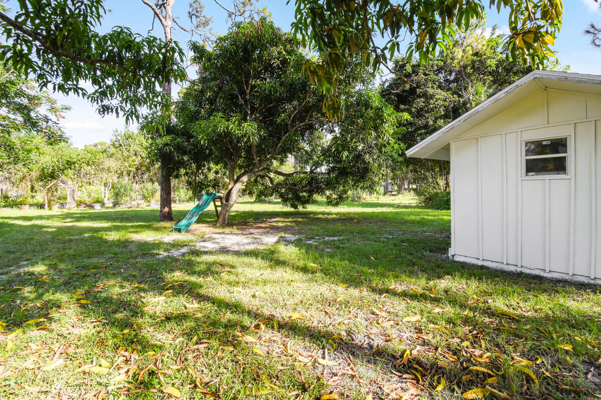12792 Old Indiantown Road Jupiter, FL 33478 - Photo 51 of 60 MANGO TREES