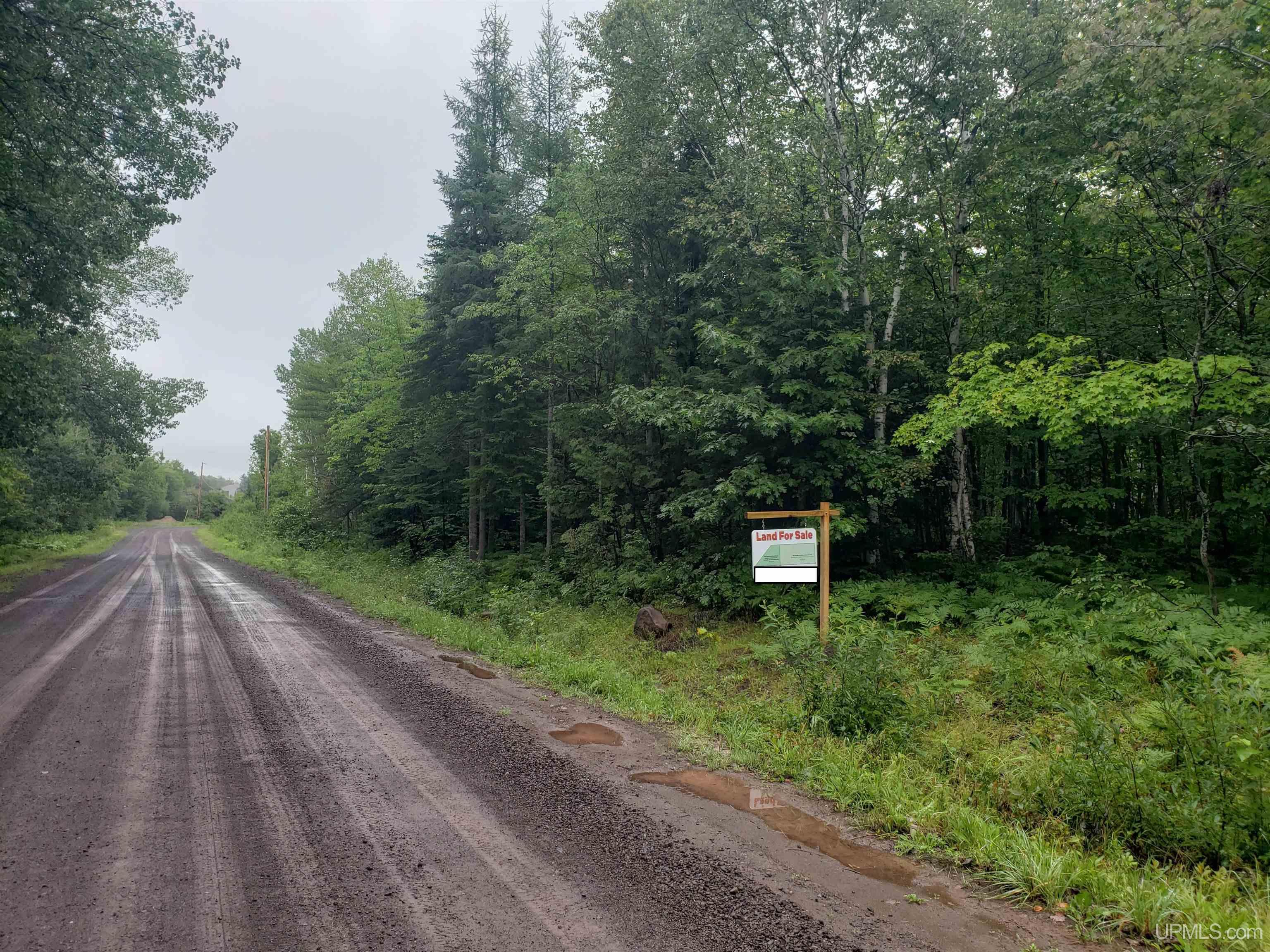 Tbd A Tbd A Tecumseh Road Calumet, MI 49913 - Photo 23 of 45