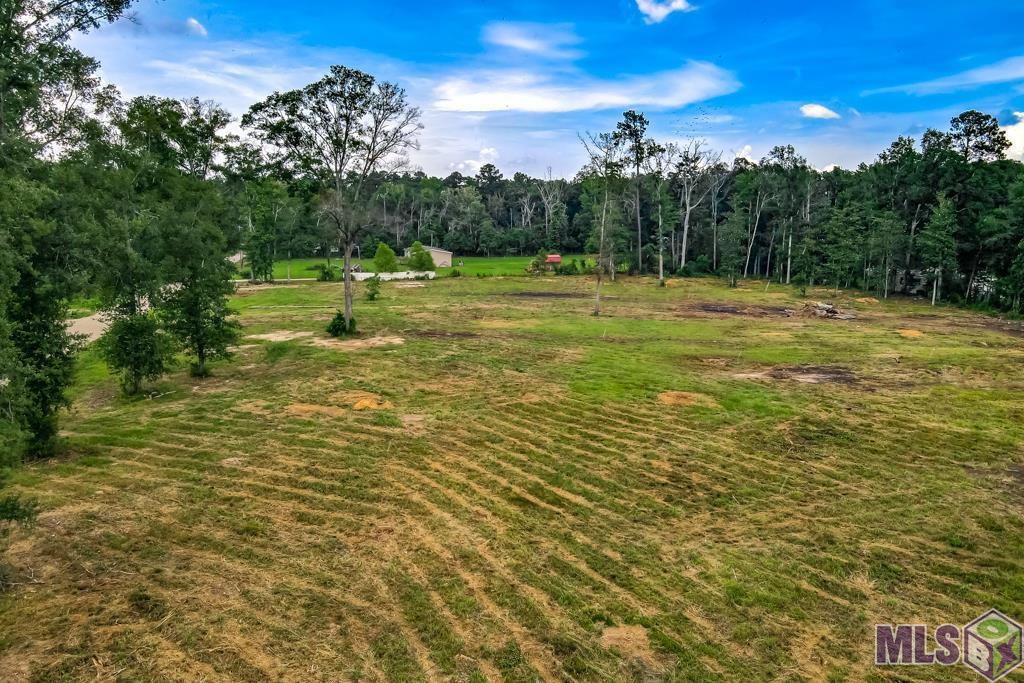 12411 Springfield Road Denham Springs, LA 70706 - Photo 2 of 11