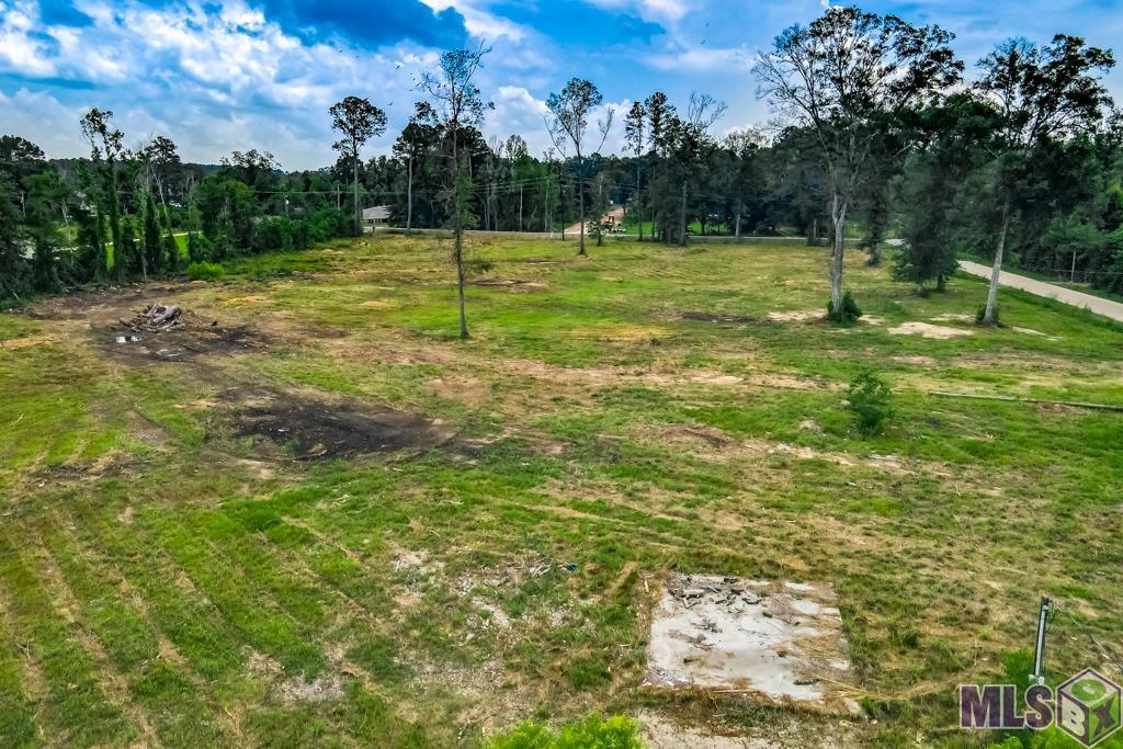 12411 Springfield Road Denham Springs, LA 70706 - Photo 3 of 11