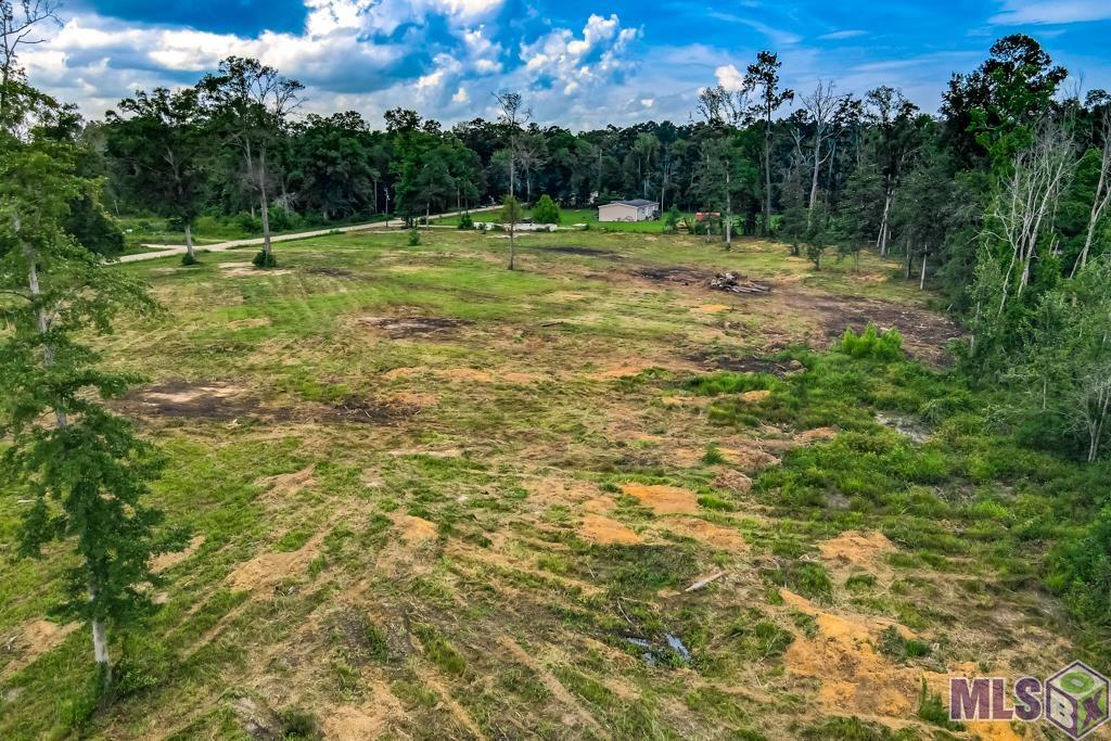 12411 Springfield Road Denham Springs, LA 70706 - Photo 4 of 11