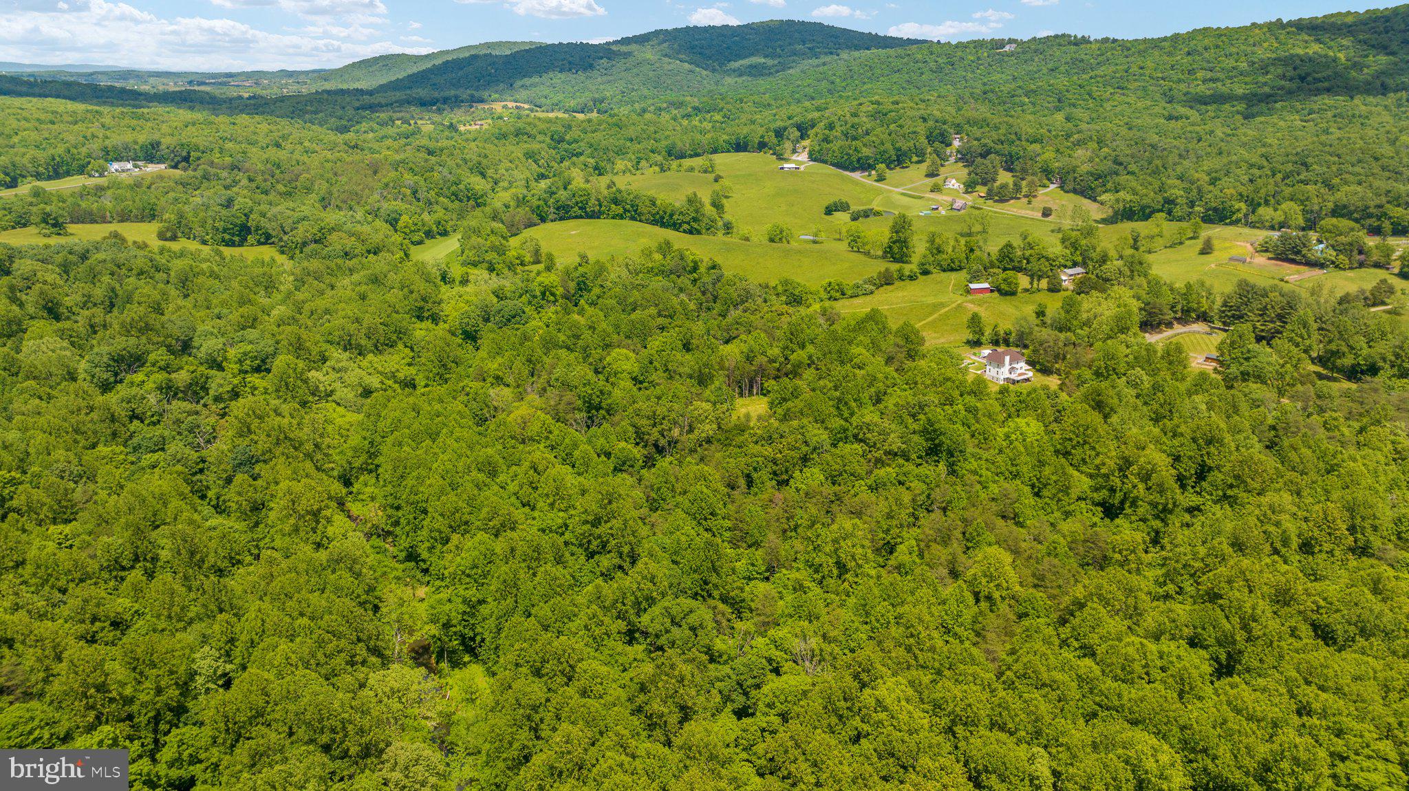 6634 Carters Run Road Marshall, VA 20115 - Photo 42 of 74