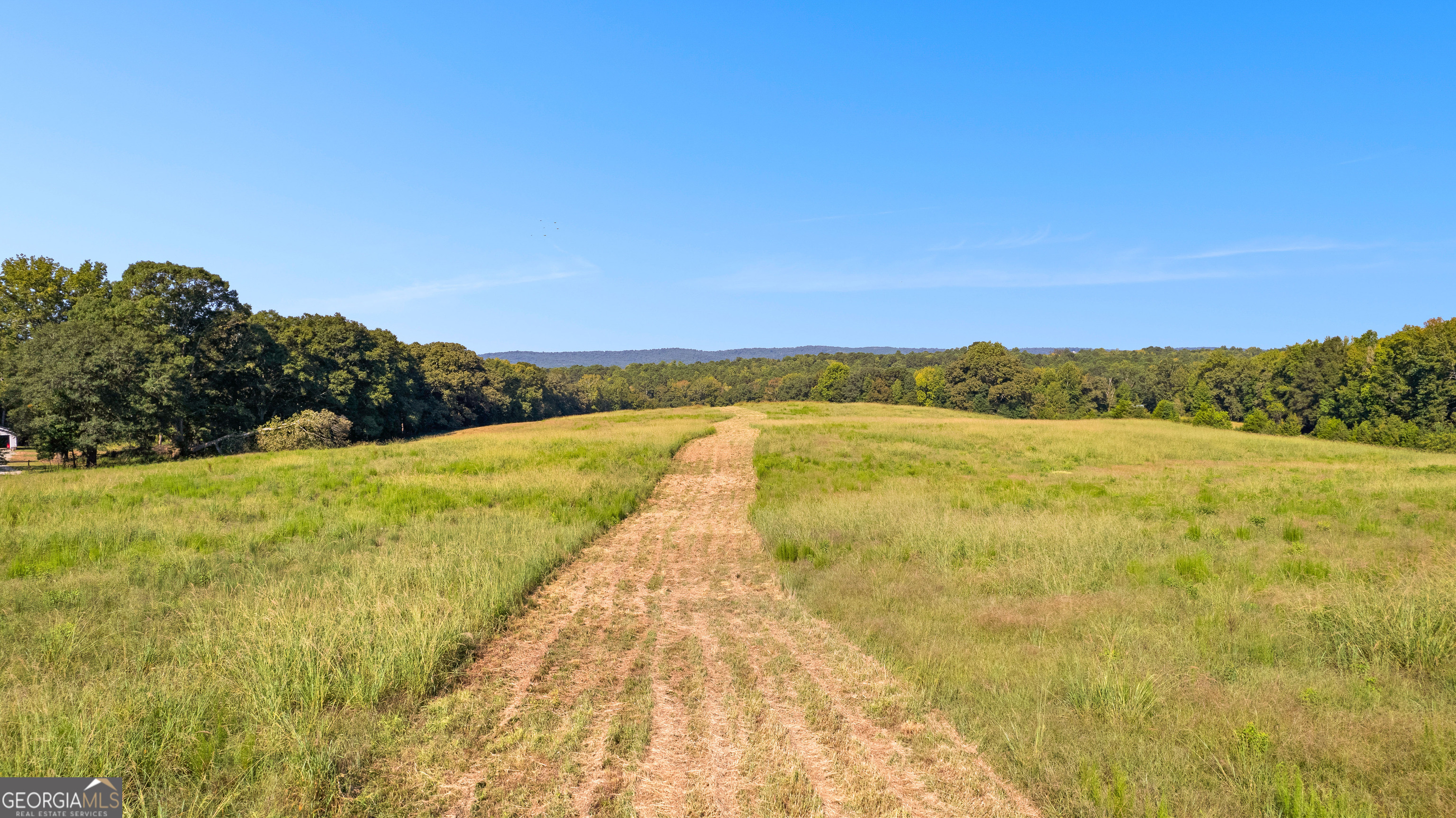 0 Ellerbeetown Road Thomaston, GA 30286 - Photo 15 of 24 a view of an outdoor space and swimming pool